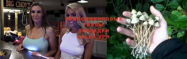 бутират Горно-Алтайск