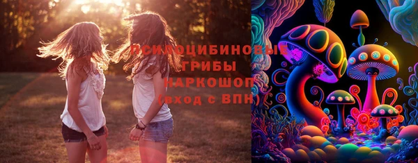 PSILOCYBIN Горнозаводск
