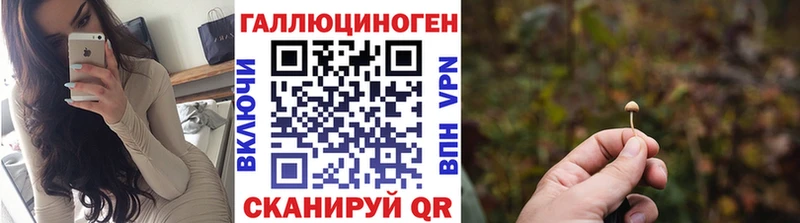 Галлюциногенные грибы Psilocybine cubensis  блэк спрут ссылки  Волжск 